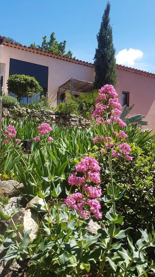 Bastide Cigaline Villa Le Beausset Dış mekan fotoğraf