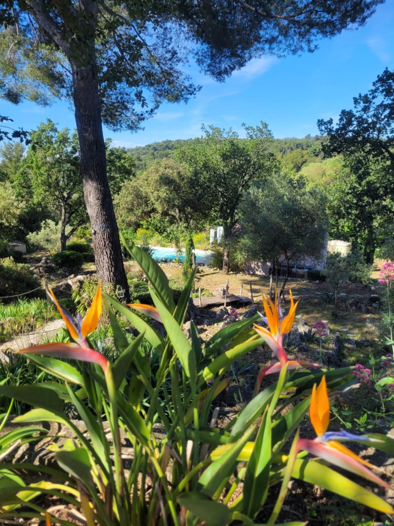 Bastide Cigaline Villa Le Beausset Dış mekan fotoğraf