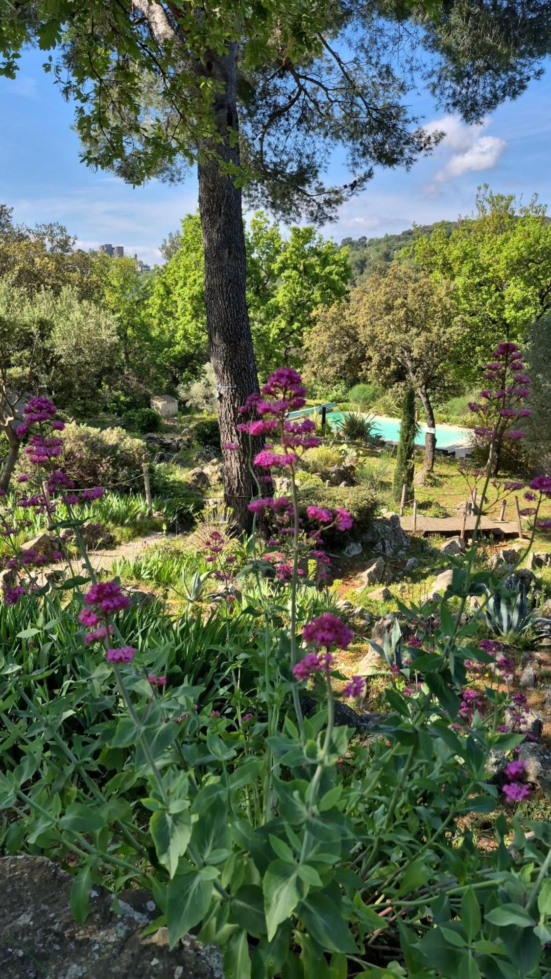 Bastide Cigaline Villa Le Beausset Dış mekan fotoğraf